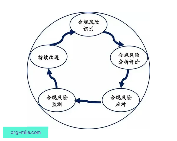 萨里奇引领青岛中场调度全新打法 助力球队提升攻防节奏